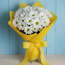 Букет цветов из:  Хризантемы в Йошкар-Оле
