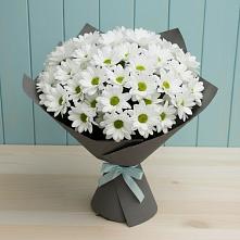Букет цветов из:  Хризантемы #REPLACE_PRED# Йошкар-Оле