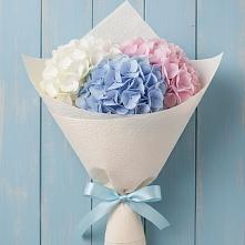 Букет цветов из:  Гортензия #REPLACE_PRED# Йошкар-Оле
