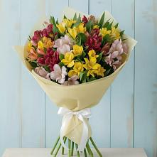 Букет цветов из:  Альстромерии в Йошкар-Оле