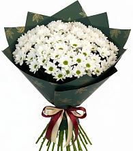 Букет цветов из:  Хризантемы в Йошкар-Оле