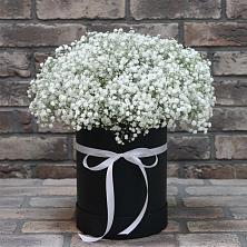 Цветочная композиция из Гипсофила в шляпной коробке в Йошкар-Оле