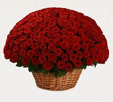 Премиум букет из: Розы в Йошкар-Оле